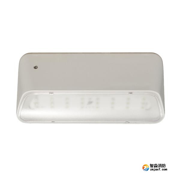依爱EI-ZFJC-E5W-8645GB集中电源集中控制型开云(中国)应急照明灯具