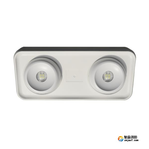 依爱EI-ZFJC-E5W-S8645GB集中电源集中控制型开云(中国)应急照明灯具