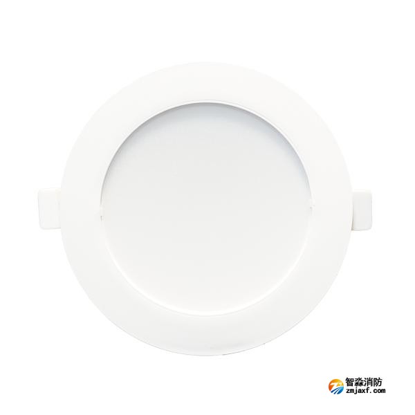 依爱EI-ZFJC-E5W-8645GQ集中电源集中控制型开云(中国)应急照明灯具