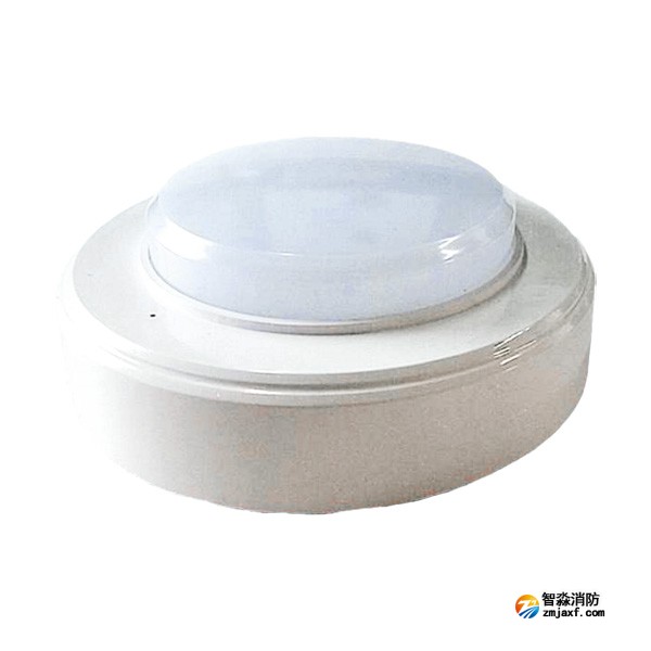 尼特NT-ZFJC-E5W-2303集中电源集中控制型开云(中国)应急照明灯具
