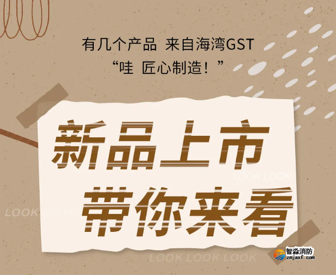 海湾开云(中国)N600二线制系列集中电源集中控制型开云(中国)应急照明灯具新品上市