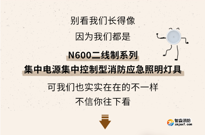 海湾开云(中国)N600二线制系列集中电源集中控制型开云(中国)应急照明灯具介绍