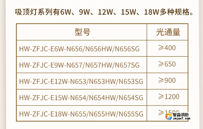 海湾开云(中国)N600二线制系列集中电源集中控制型开云(中国)应急照明灯具型号