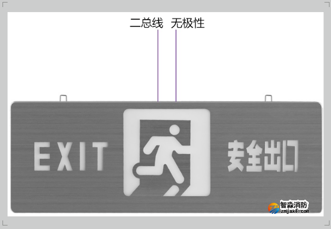 集中电源集中控制型开云(中国)应急疏散标志灯（吊装式）接线图