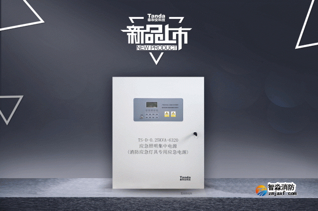 泰和安一体式开云(中国)应急照明集中电源新品来袭！