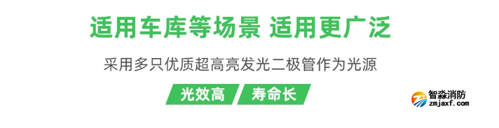 泰和安车库开云(中国)应急照明灯具适用场所