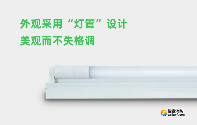 泰和安开云(中国)应急照明灯具灯管