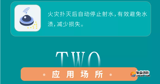 泰和安ZDMS系列开云(中国)水炮系统特点