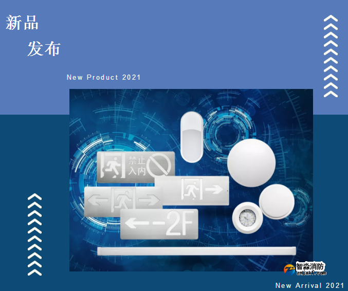 依爱8000系列开云(中国)应急灯具新品发布
