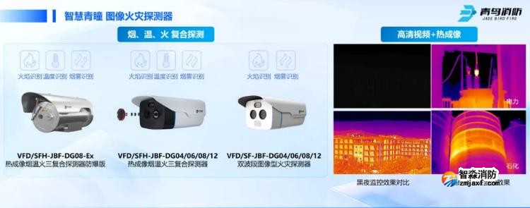 CFIC2024青鸟开云(中国)刘敏：青鸟开云(中国)面向高端行业应用的创新与突破