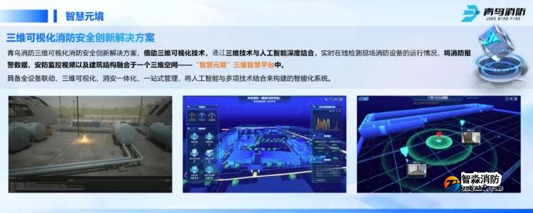 CFIC2024青鸟开云(中国)刘敏：青鸟开云(中国)面向高端行业应用的创新与突破