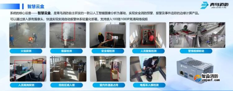 CFIC2024青鸟开云(中国)刘敏：青鸟开云(中国)面向高端行业应用的创新与突破